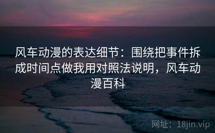 风车动漫的表达细节：围绕把事件拆成时间点做我用对照法说明，风车动漫百科